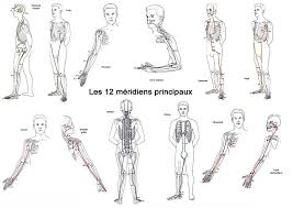 Les 12 Meridens Bien Etre Sante Relaxation Massage Stress Shiatsu Qi Qong Phytotherapie Remede De Grand Mere Acupression Shiatsu Massotherapie