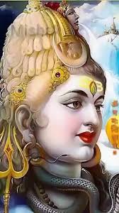 Anu Shivani (shivanianu22)