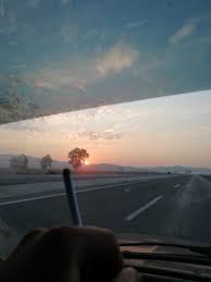 usul usul intizari curuten bu hercai diken bu cilgin arzu surukluyor imkansiz mustularin esigine gonul vadilerini bir agactan dusen yaprakl yaya sarkilar agac