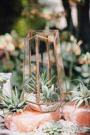 Search for modern style wedding centerpieces and floral stands at tableclothsfactory. Desert Themed Wedding Cactus Gold Table Centerpiece Geometric Holders Onyx Redwood Terrarium Wedding Wedding Table Centerpieces Wedding Centerpieces