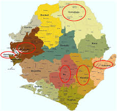 Anti Malarial Market Survey Districts In Sierra Leone Download Scientific Diagram