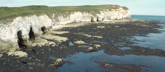Formation Of A Wave Cut Shore Platform