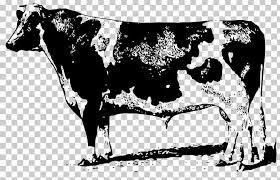 Clip art black and white jersey cow. Beef Cattle Jersey Cattle Angus Cattle Png Clipart Angus Cattle Beef Cattle Black And White Bull