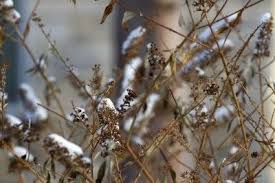Hi my name is laura and i, along with my husband. Pin On New Gardening Know How Articles
