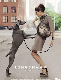 Coco Rocha Gets Her Irish Jig On For Longchamp Oh My Dog Weimaraner Coco Rocha Doggie Style