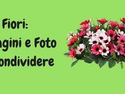 Mar 14, 2014 · screensaver per il tuo pc da scaricare gratis nome screensaver: Fiori Immagini E Foto Da Condividere Sapevatelo