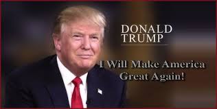 Image result for make america great again