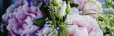 Check out reviews & photos of fort lauderdale tours with this evening cruise calls for sun dresses, flowered shirts, sandals , cold beer and chilled wine. Flower City Florist Fort Lauderdale
