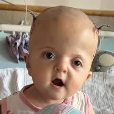 Fundraiser by Sarah Bahn : Marley's Angels