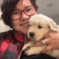 Is it every golden retriever or only poorly bred goldens that get cancer?