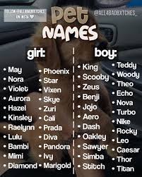 Bratzvutton Cute Animal Names Pet Names Cute Puppy Names