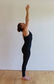 When chanted with sincere gratitude, these mantras can take the practice to an enhanced spiritual level. Surya Namaskara A B Sun Salutations Yoga East
