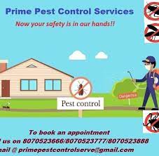 If you have the house cleaned prior to our arrival, this. Prime Pest Control Services Home Facebook