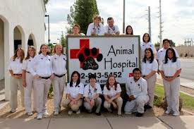 You can expect to be greeted by a courteous receptionist, clean exam. 43rd Ave Animal Hospital 4426 West Cactus Road Glendale Reviews And Appointments Topvet