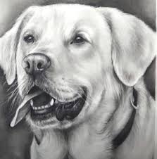 Color it as you wish. How To Draw A Realistic Dog Step By Step