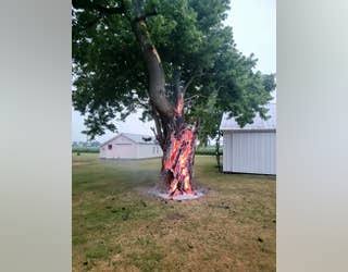 Dramatic photos show tree burning from inside after lightning strike in Ohio | FOX 29 Philadelphia