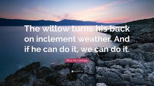 Will not go from my mind. Paul Mccartney Quote The Willow Turns His Back On Inclement Weather And If He Can Do It We Can Do It