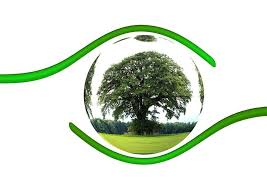 Ecology Definition Type Of Ecology Ecology Ecological Systems Aquatic Ecosystem