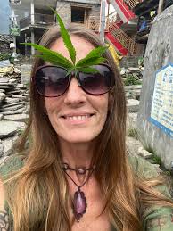 The plant is known for its very bright colors. In India and China it is  also called a troublesome weed. Its enormous seeds grow heavily in the  surrounding areas .plz suB @Helpplants |