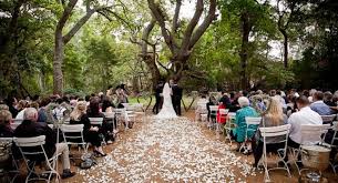 Pin On Cape Town Wedding Venues