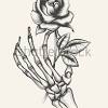 Skeleton hand holding rose flower | black and white | skull hand svg | flower svg | rose svg | best gift | halloween decor | clipart artshopza 5 out of 5 stars (5) $ 3.82. Https Encrypted Tbn0 Gstatic Com Images Q Tbn And9gcshdl75k5 Foz80oscbqhpmouiuxuuyr9lbw7djt9i3x8au12wt Usqp Cau
