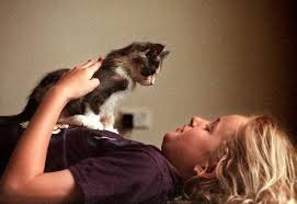 In a 2006 study conducted by fauna communications, researchers found that the frequency of a cat's purr is between 25 and 140 hz. The Amazing Healing Power Of A Cats Purr Collective Evolution
