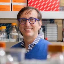 Ted Steiner (@DrTedSteinerUBC)