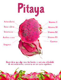 Pitaya Confira Nossos Sucos Com Essa Poderosa Frutinha Pitaya Pitaia Dragonfruit Sucodepitaya Sucodetox Goiania Frutaexo Nutricao Sucos Pitaya