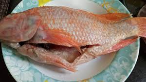 Ikan goreng ikan merah ikan siakap. Resepi Ikan Talapia Sweet Sour Sedap Kisahsidairy Com