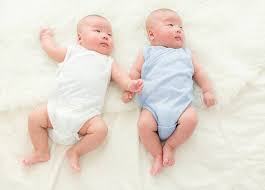 Berikut ini tujuh tips cara membuat anak kembar yang berhasil popmama.com rangkum dari berbagai sumber akar licorice yang memiliki rasa manis ini dikenal dapat meningkatkan peluang hamil anak kembar karena membantu dalam proses ovulasi. 6 Hal Yang Perlu Diketahui Tentang Bayi Kembar Alodokter