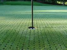 Image result for what is golf course aeration