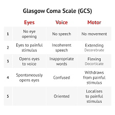 The glasgow coma scale (gcs) is a clinical scale used to reliably measure a person's level of consciousness after a brain injury. Glasgow Coma Scale Gcs Glasgow Coma Scale Levels Of Consciousness Glasgow