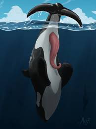 Rule 34 - 3:4 Ambient Sealife Animal Genitalia Animal Penis Black Body  Cetacean Cetacean Genitalia Cetacean Penis Cloud Day Dolphin Erection Feral  Fin Genital Slit Genitals Hi Res Magpi Male Mammal Marine