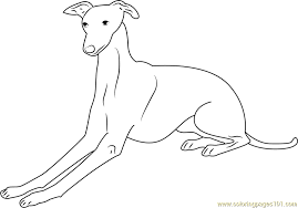 Cartoon dog showing thumbs up. Italian Greyhound Coloring Page For Kids Free Dog Printable Coloring Pages Online For Kids Coloringpages101 Com Coloring Pages For Kids