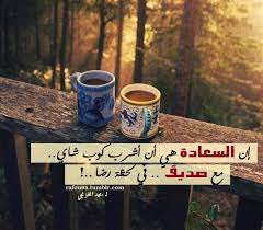 إن السعادة هي أن أشرب كوب شاي مع صديق في لحظة رضا محمد المخزنجي ــ البستان Glassware Beautiful Cats Mugs
