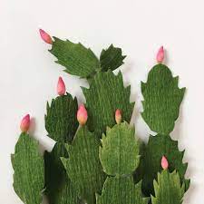 paper christmas cactus by a petal unfolds paper flowers paper succulents paper plants