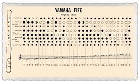 amazing recorder yamaha fife