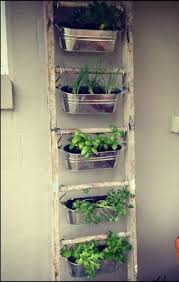 12 Superbes Idees Pour Faire Pousser Les Fines Herbes A La Maison Jardin D Herbes Jardiniere Murale Idees De Jardinage