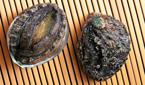 Abalone Sushi