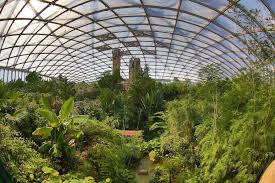 One of germany's most progressive, leipzig zoo's stand out attraction is gondwanaland, a jungly wonderland of 17,000 plants and 300 exotic a. Zoo In Leipzig Tropical Feeling In Gondwanaland Funkygermany