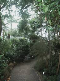 Would you like to see only ebooks? Datei Alter Botanischer Garten Hamburg Gewachshaus Jpg Wikipedia