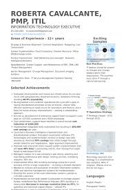 vp of technology consulting resume