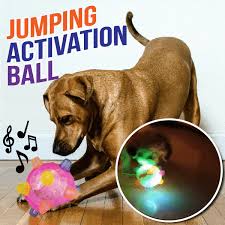 Jumping Activation Ball For Dogs Sunnyfoxy Saint Bernard Dog Pet Advice Dog Playground