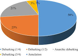 Image result for Heisteria zimmereri