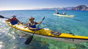 It is an ideal family kayak with three seating positions allowing sing. Baja Kayak Whale Watching Combo Tour Sea Kayak Adventures