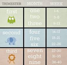Pin On Baby Kid Friendly