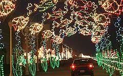 Holiday Lights At The Beach Virginia Beach Virginia Beach Boardwalk Christmas Light Displays Christmas Lights