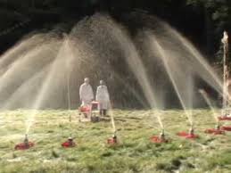 The Extreme Diet Coke Mentos Experiments Ii The Domino Effect Extreme Diet Domino Effect Diet Coke
