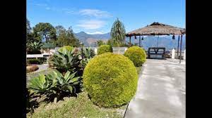 Since it was introduced to the u.s. Pine View Nursery 2021 21 Top Things To Do In Kalimpong West Bengal Reviews Best Time To Visit Photo Gallery Hellotravel India