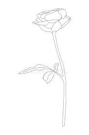 Now that we have completed the bulb of the rose we can draw the stem and leaves. Rose Stem Silhouette Stock Illustrations 3 785 Rose Stem Silhouette Stock Illustrations Vectors Clipart Dreamstime